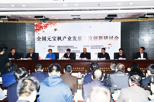 2018年11月1日陕西杨凌全國(guó)元宝枫产业发展研讨会