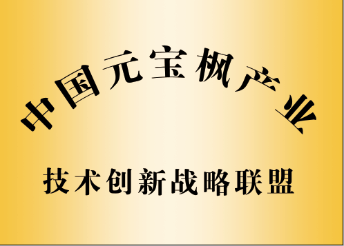 中國(guó)元宝枫产业技术创新(xīn)战略联盟